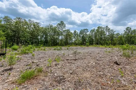 15022 Gar Street Spring Hill FL 34609