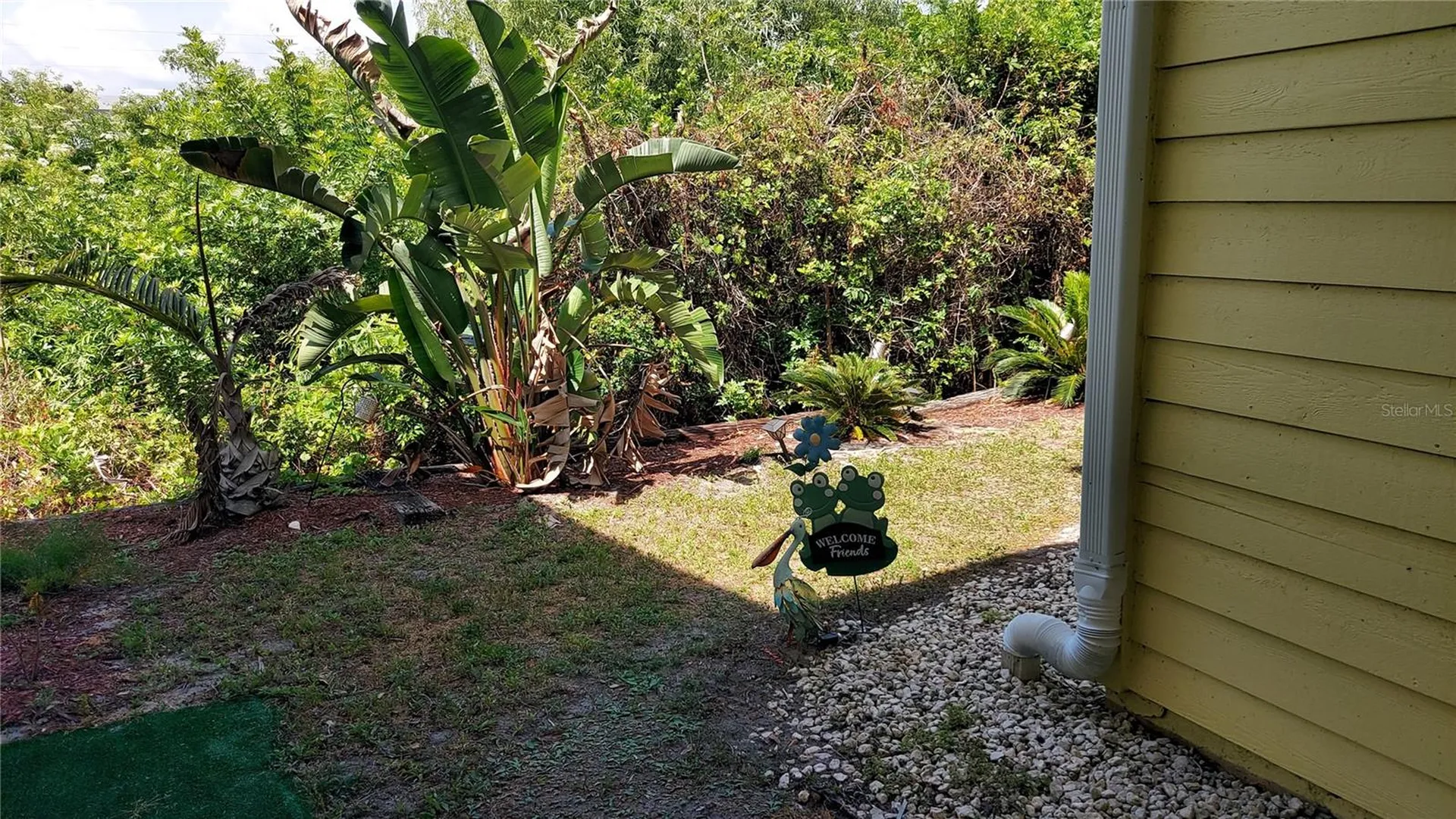 455 Alt 19 S Palm Harbor FL 34683