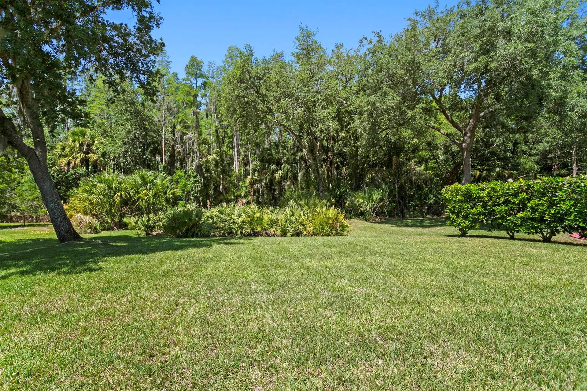10235 Estuary Drive Tampa FL 33647