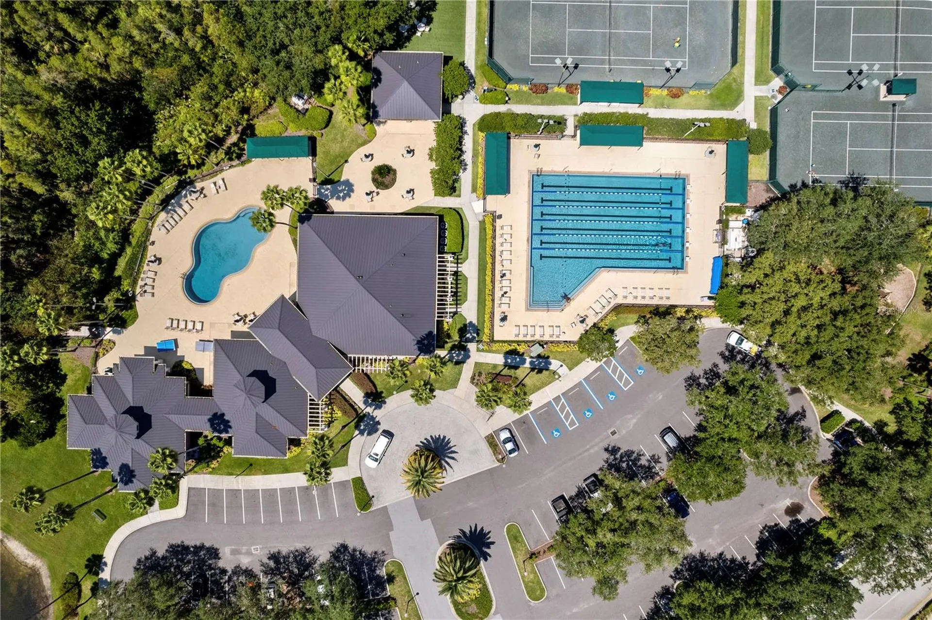 10235 Estuary Drive Tampa FL 33647