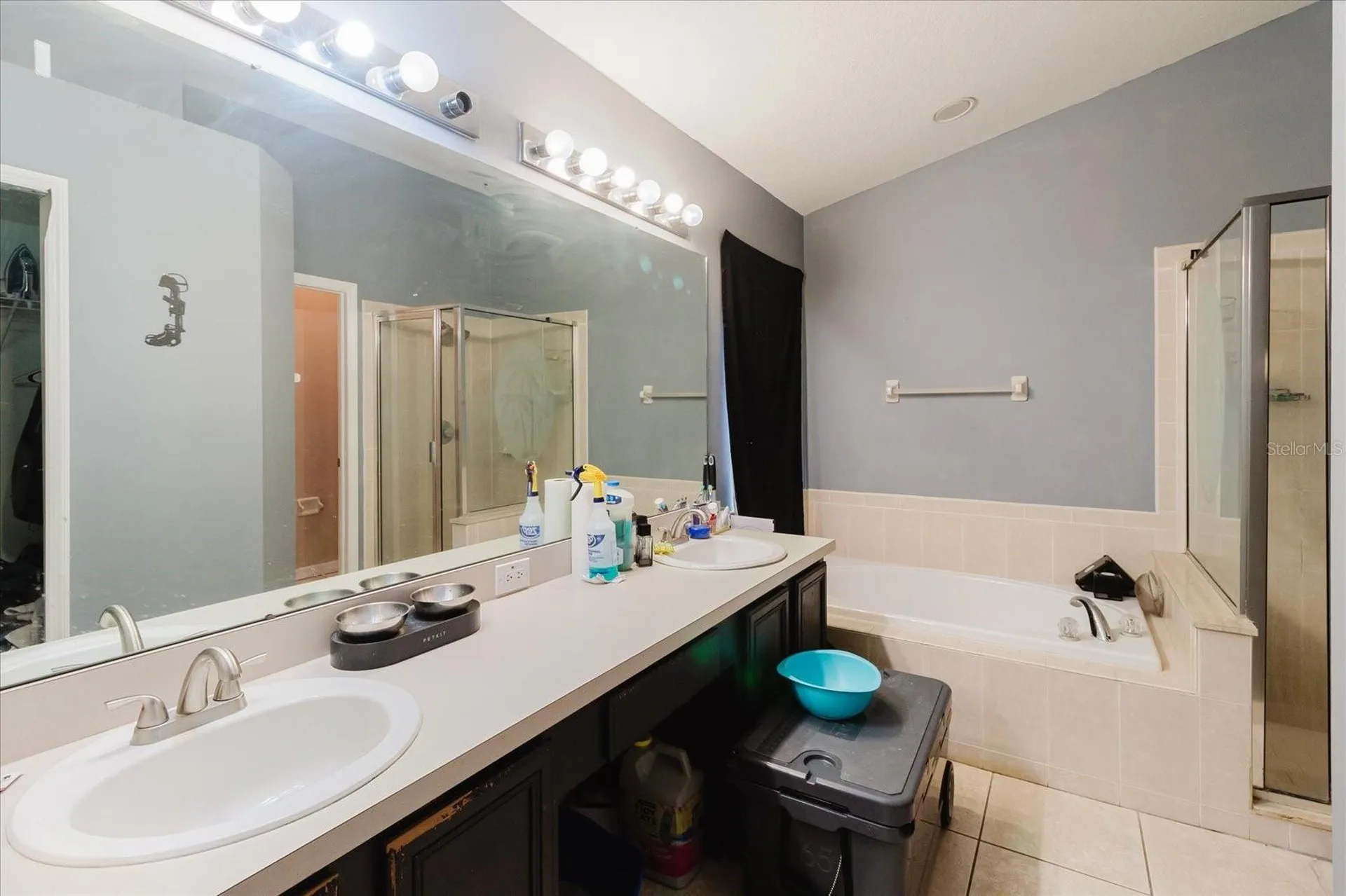 9817 White Barn Way Riverview FL 33569