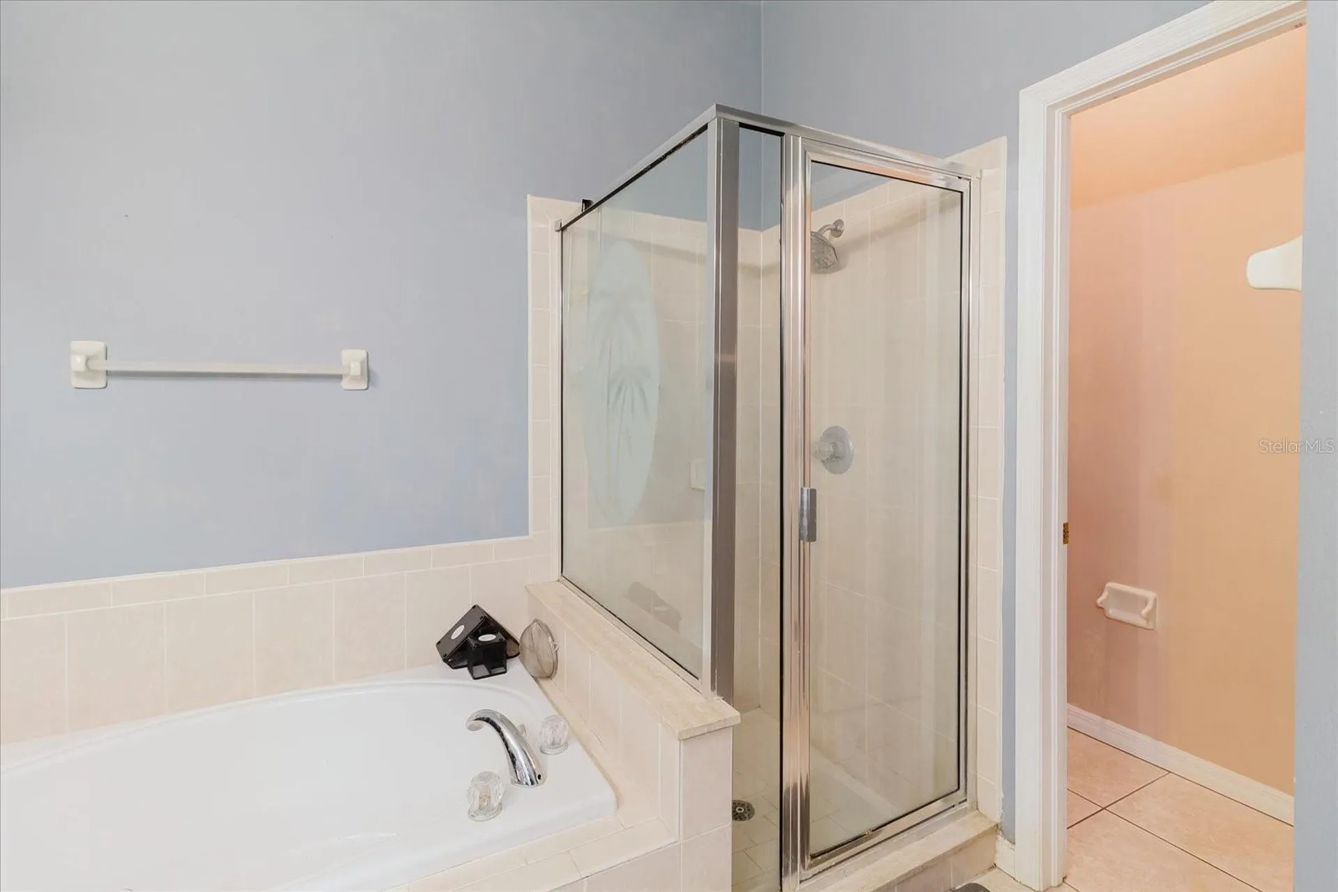9817 White Barn Way Riverview FL 33569