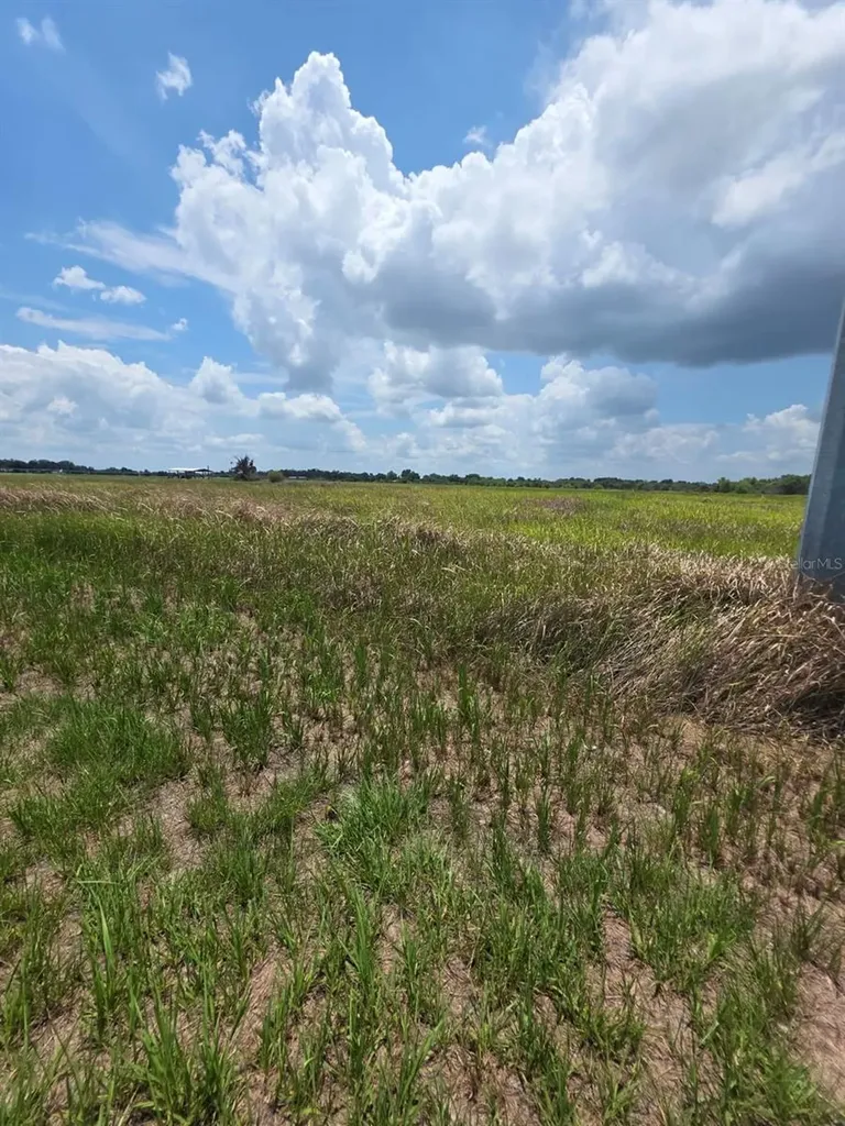 Metheny Rd, Parcel B Wauchula FL 33873