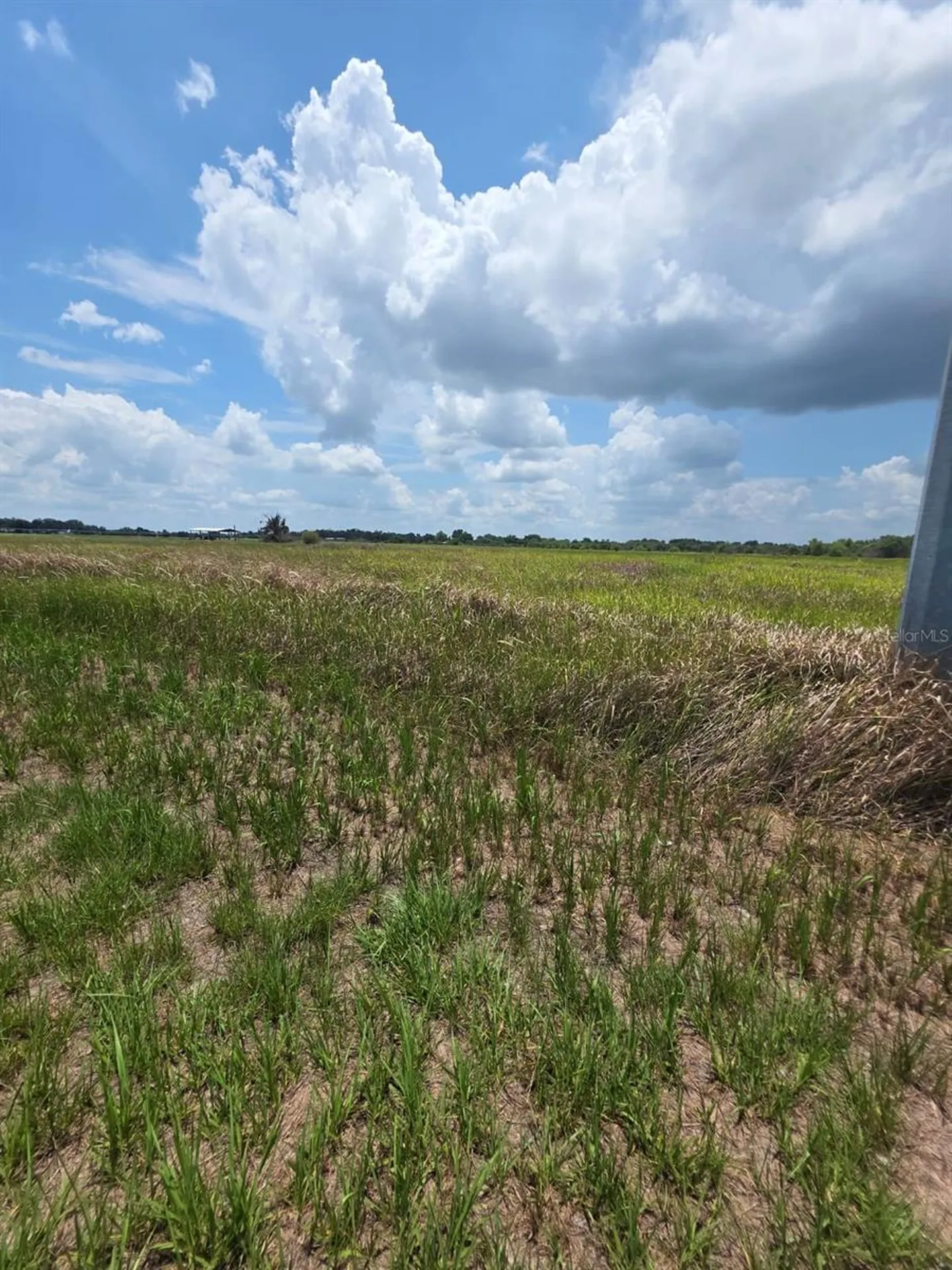 Metheny Rd, Parcel B Wauchula FL 33873