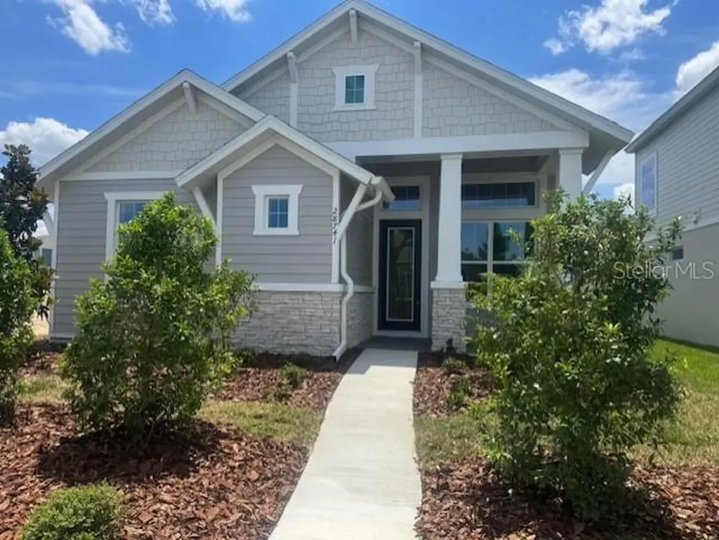 28741 Jujube Road Wesley Chapel FL 33543