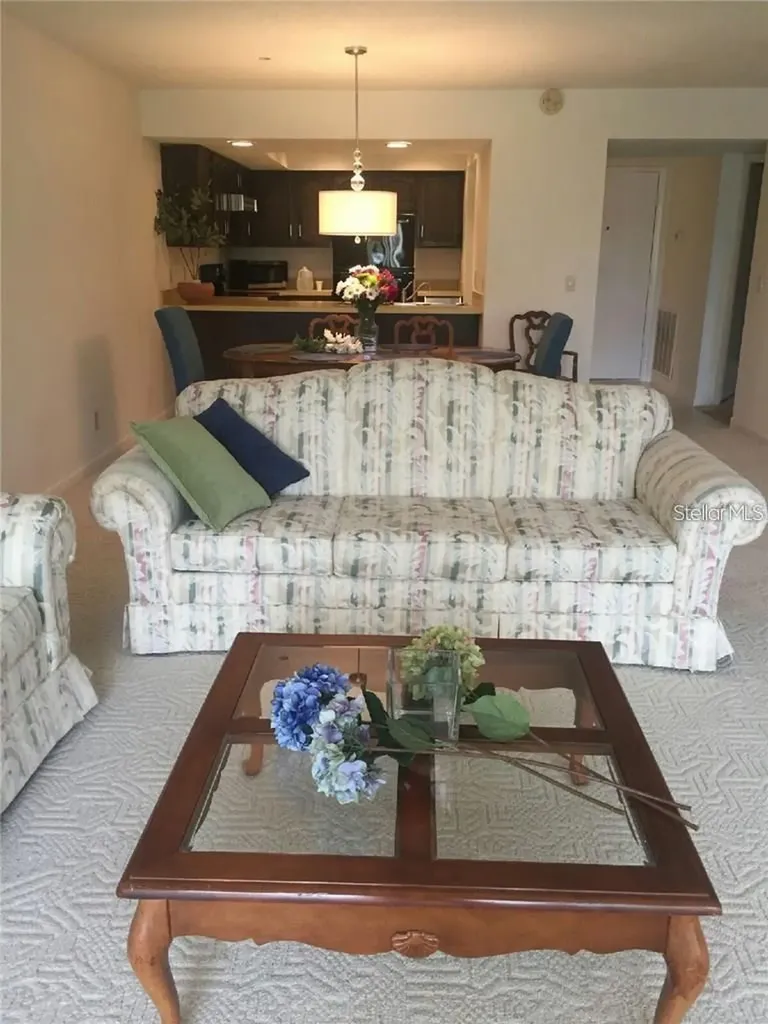 328 Mariner Drive Tarpon Springs FL 34689