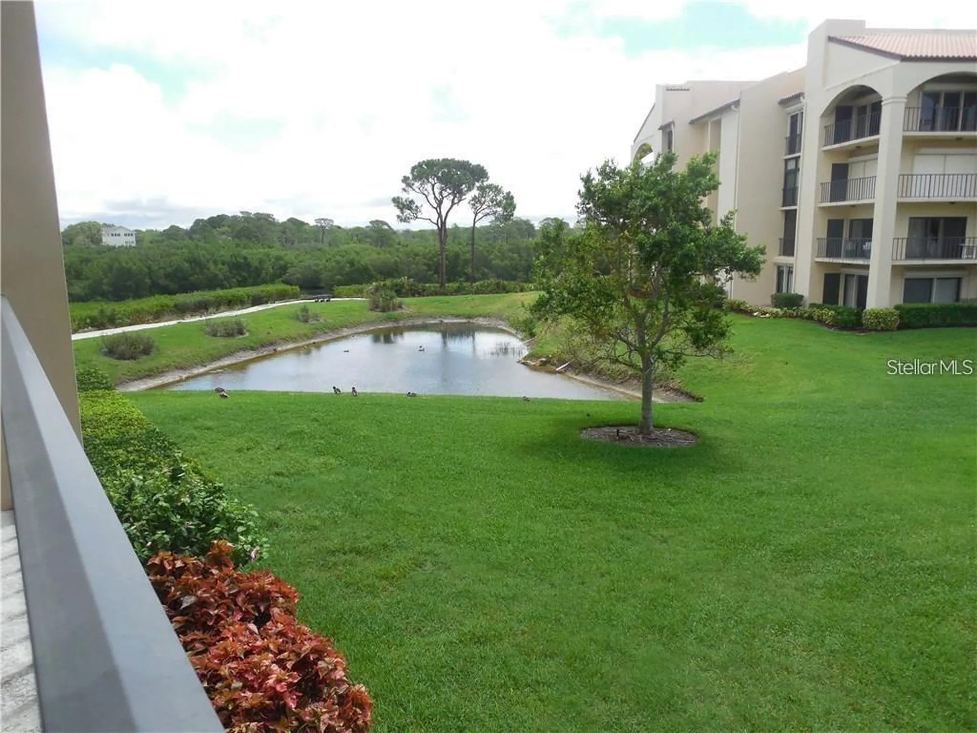 328 Mariner Drive Tarpon Springs FL 34689