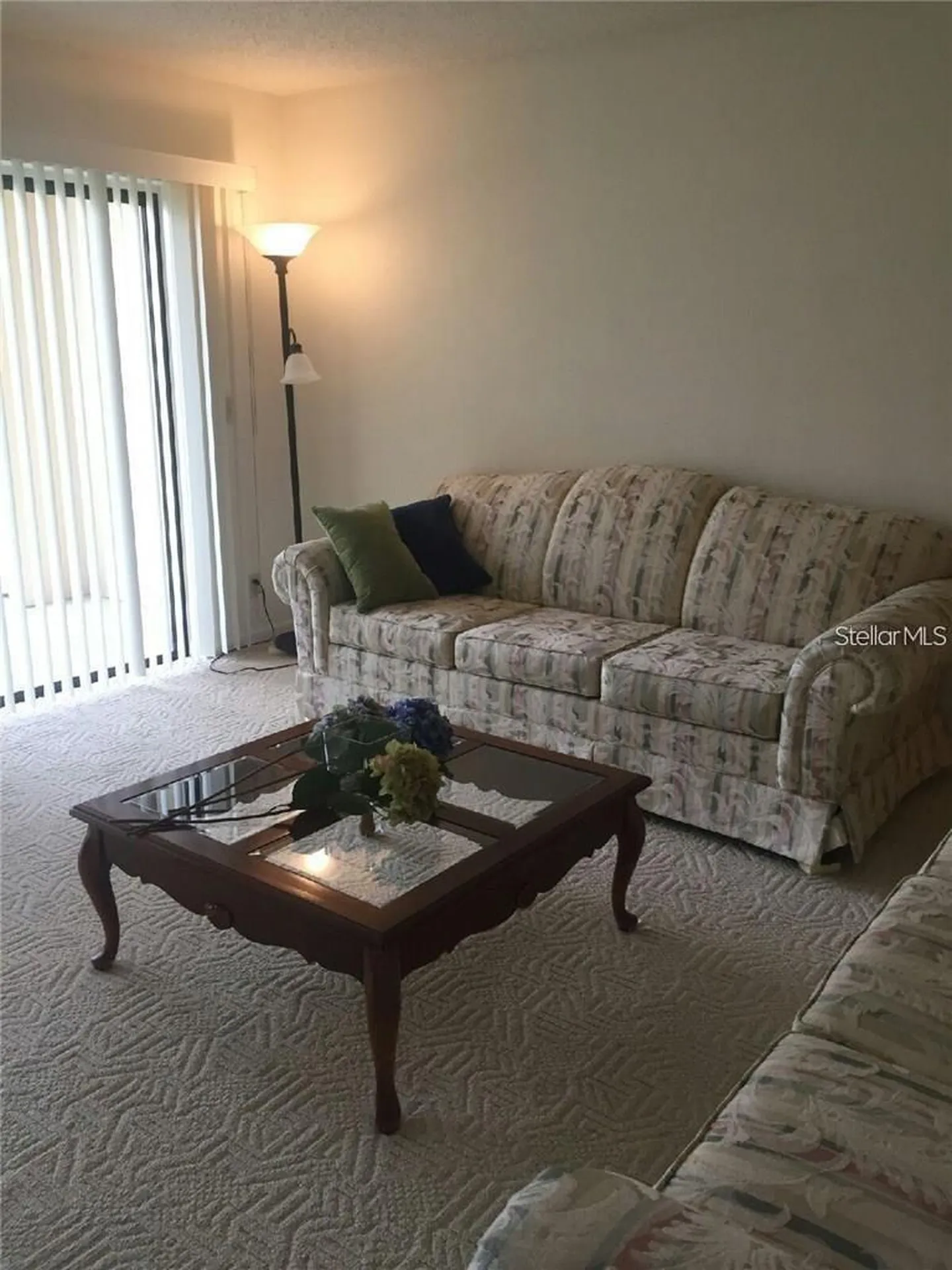328 Mariner Drive Tarpon Springs FL 34689