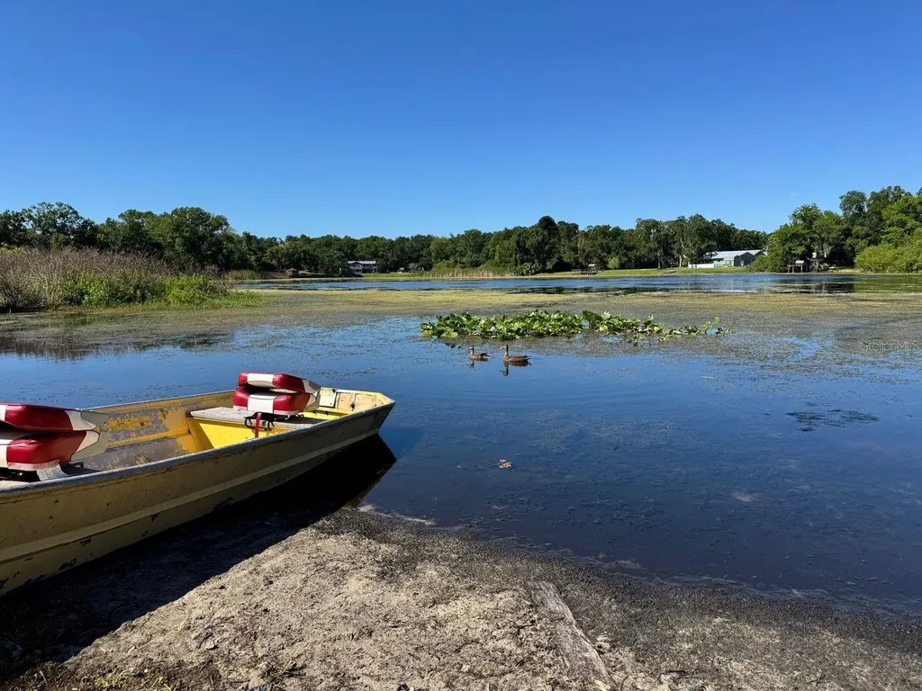 4401 Dylan Loop Land O Lakes FL 34639