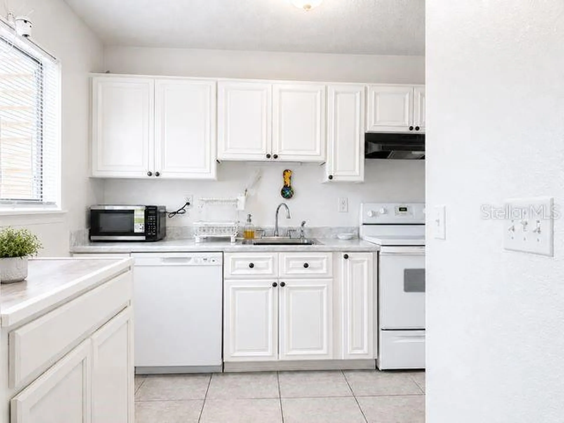 4401 Dylan Loop Land O Lakes FL 34639