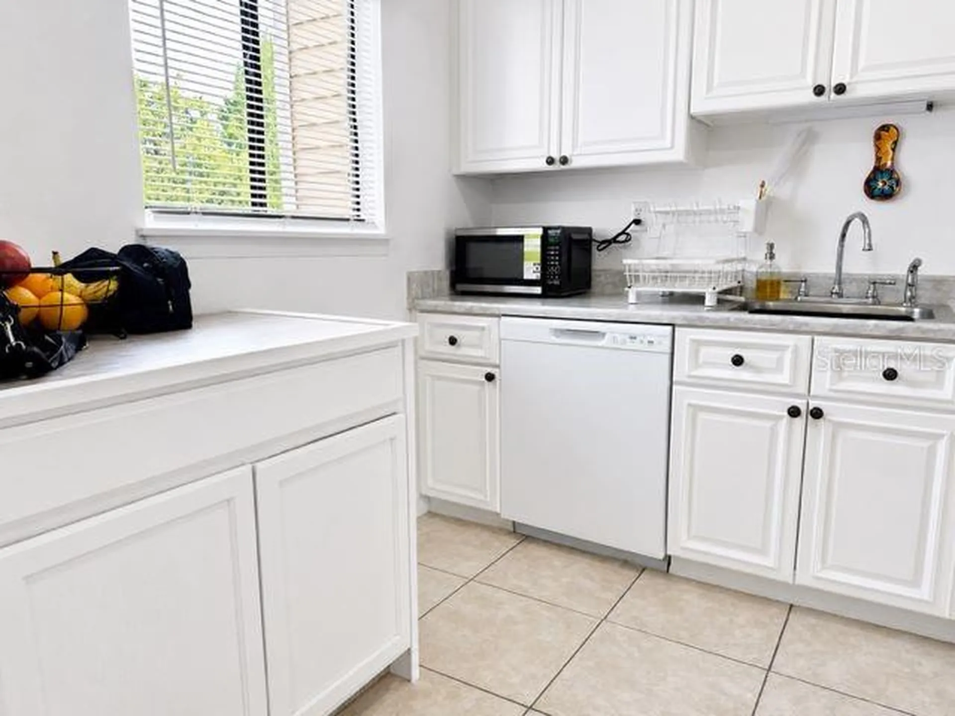 4401 Dylan Loop Land O Lakes FL 34639