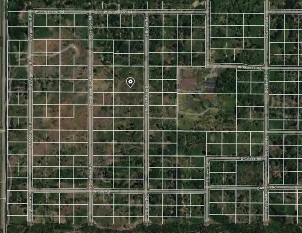 1124 S Brodie Road Avon Park FL 33825