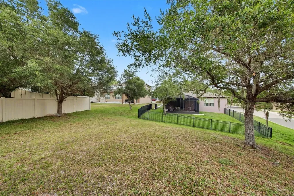 30030 Messara Cove Mount Dora FL 32757