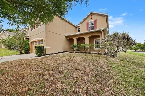 30030 Messara Cove Mount Dora FL 32757