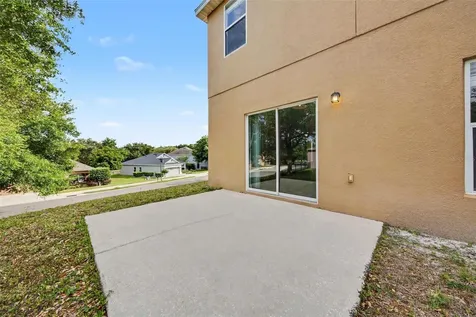 30030 Messara Cove Mount Dora FL 32757