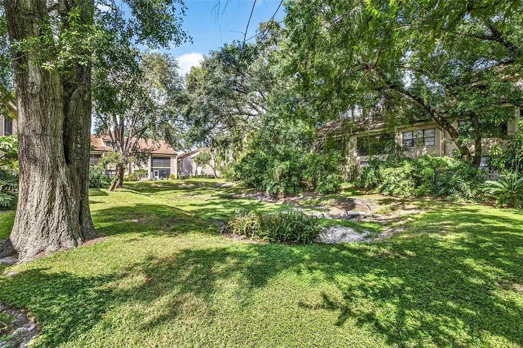 7809 Niagara Avenue Tampa FL 33617