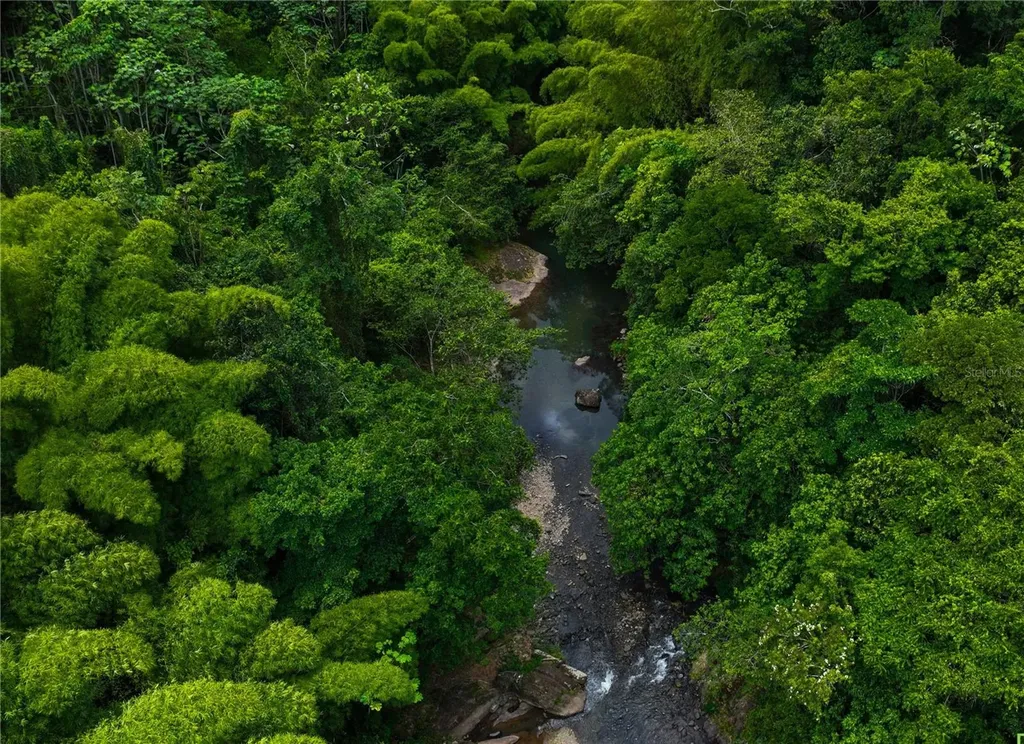 Sr 146 Km. 19.4 Interior Bo Cordillera Ciales PR 00638
