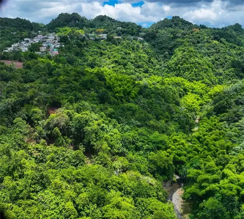 Sr 146 Km. 19.4 Interior Bo Cordillera Ciales PR 00638