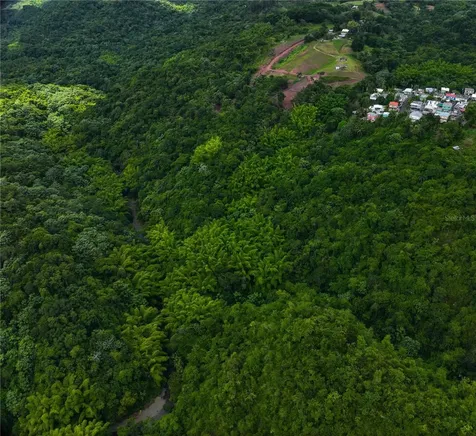 Sr 146 Km. 19.4 Interior Bo Cordillera Ciales PR 00638