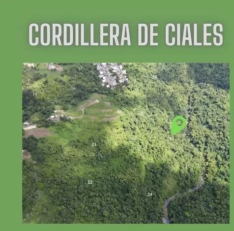 Sr 146 Km. 19.4 Interior Bo Cordillera Ciales PR 00638