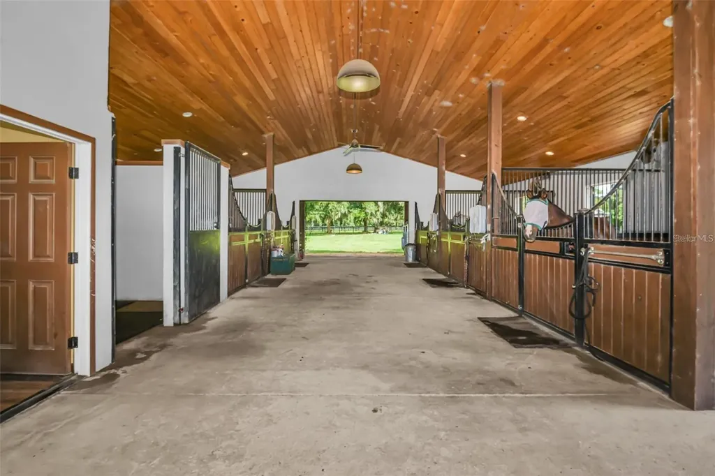 6155 NW 145th Avenue Road Morriston FL 32668