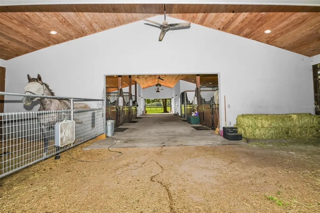 6155 NW 145th Avenue Road Morriston FL 32668