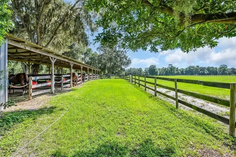 6155 NW 145th Avenue Road Morriston FL 32668