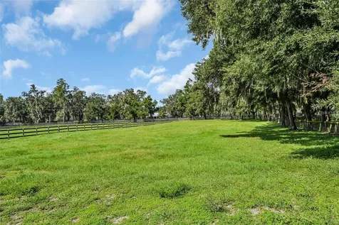 6155 NW 145th Avenue Road Morriston FL 32668