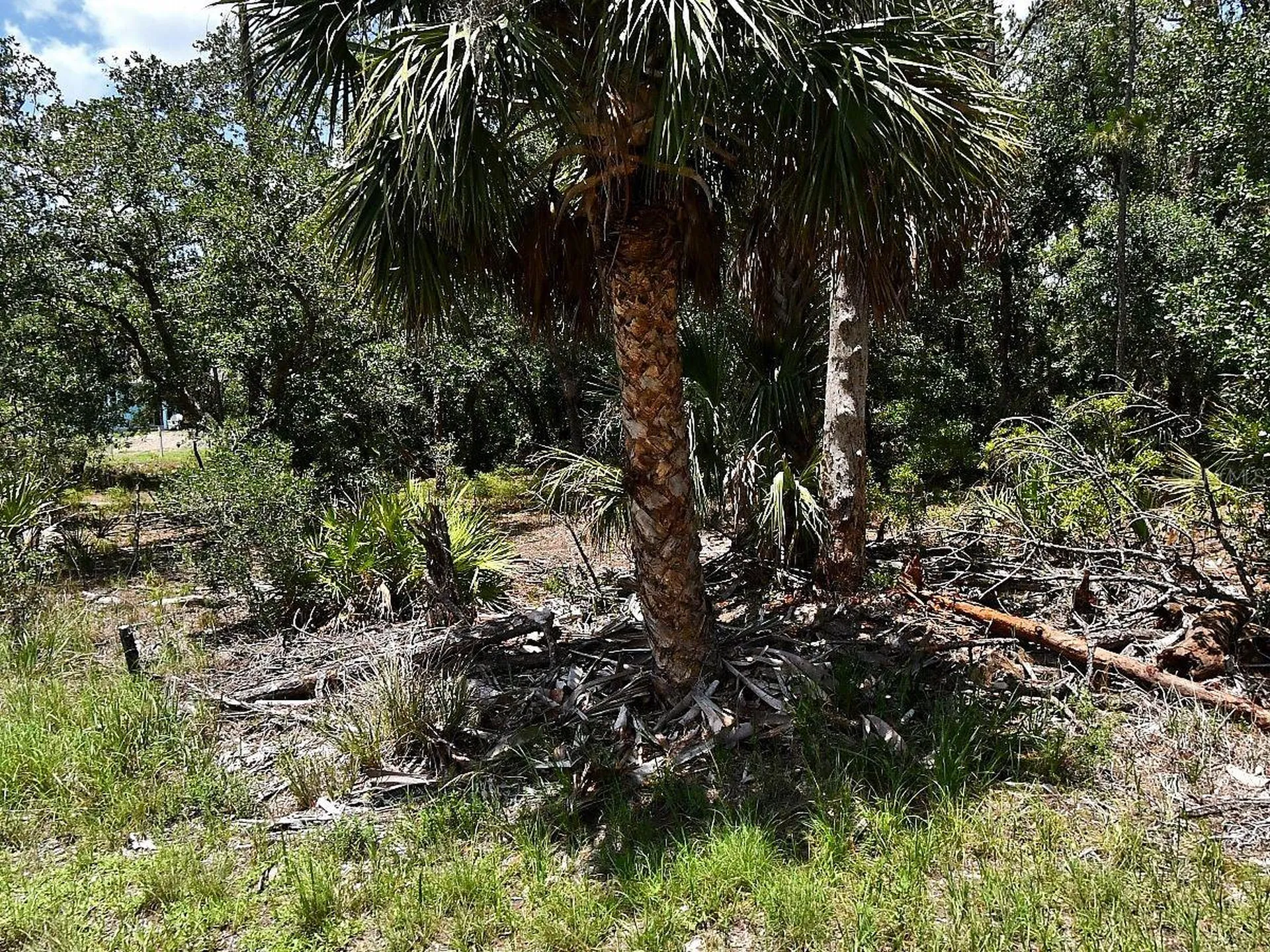 Hawksbill Avenue North Port FL 34291