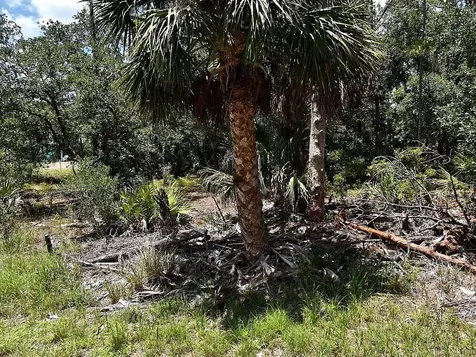 Hawksbill Avenue North Port FL 34291