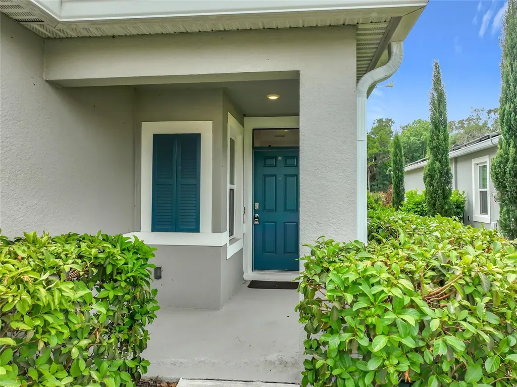 20029 Royal Tern Court Leesburg FL 34748