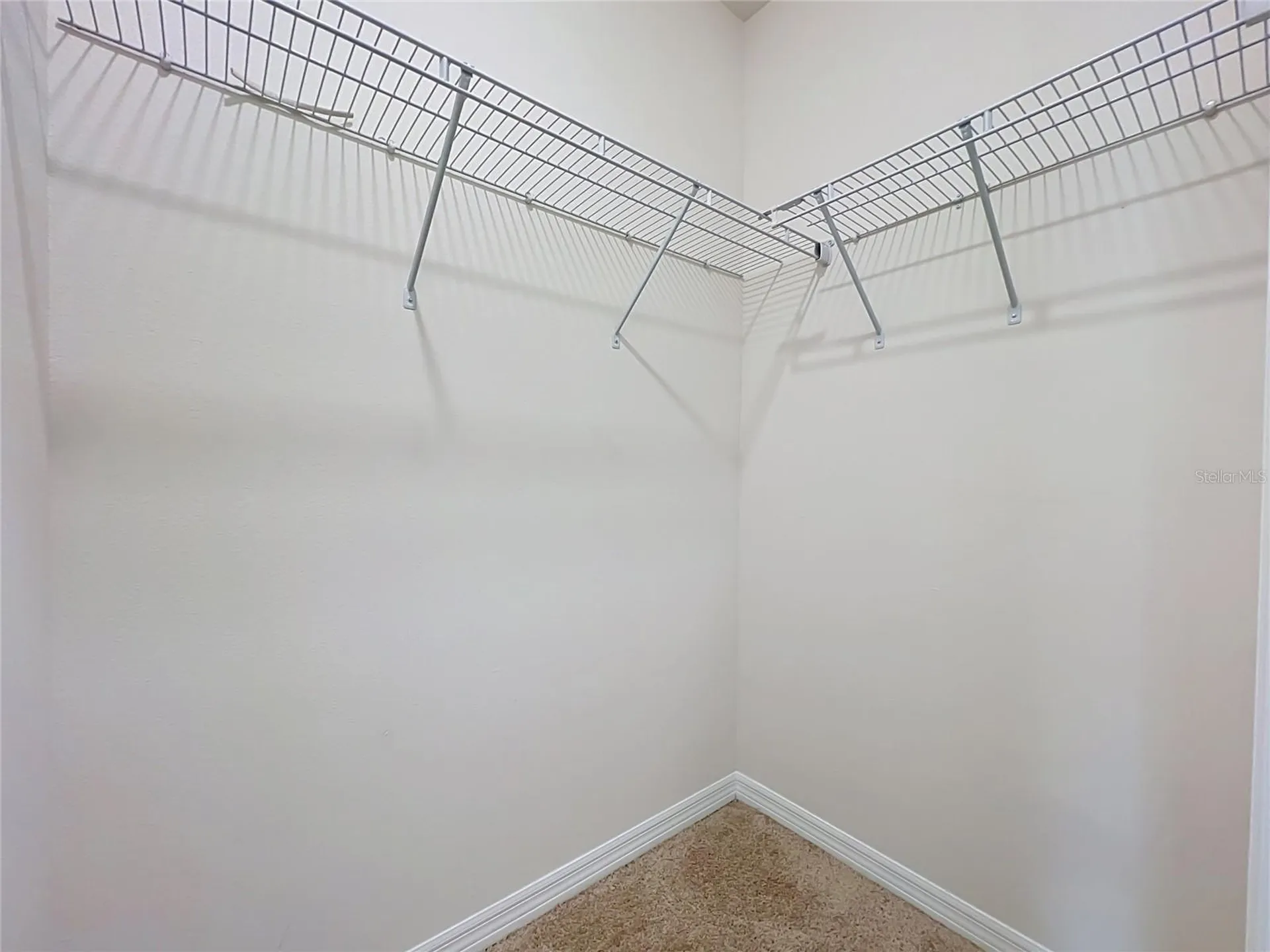 20029 Royal Tern Court Leesburg FL 34748