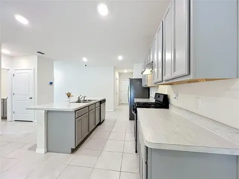 20029 Royal Tern Court Leesburg FL 34748
