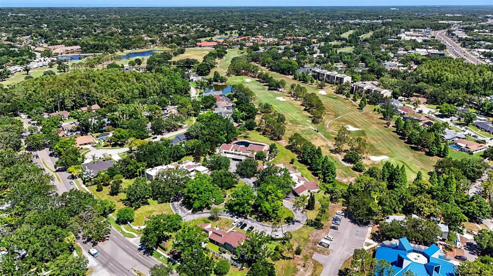13507 Palmwood Lane Tampa FL 33618