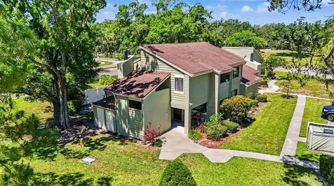 13507 Palmwood Lane Tampa FL 33618