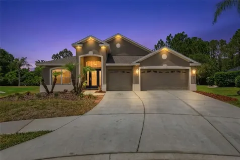 2453 Addington Place Wesley Chapel FL 33543