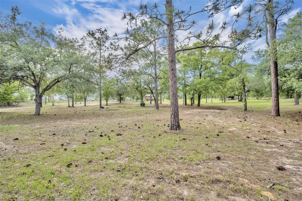 1717 W Kelly Park Road Apopka FL 32712