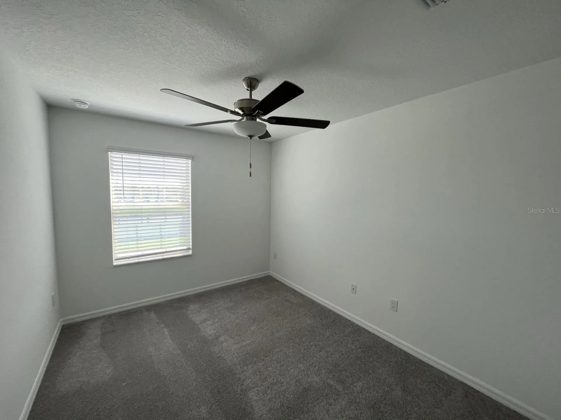 14409 Easy Goer Street Ruskin FL 33573