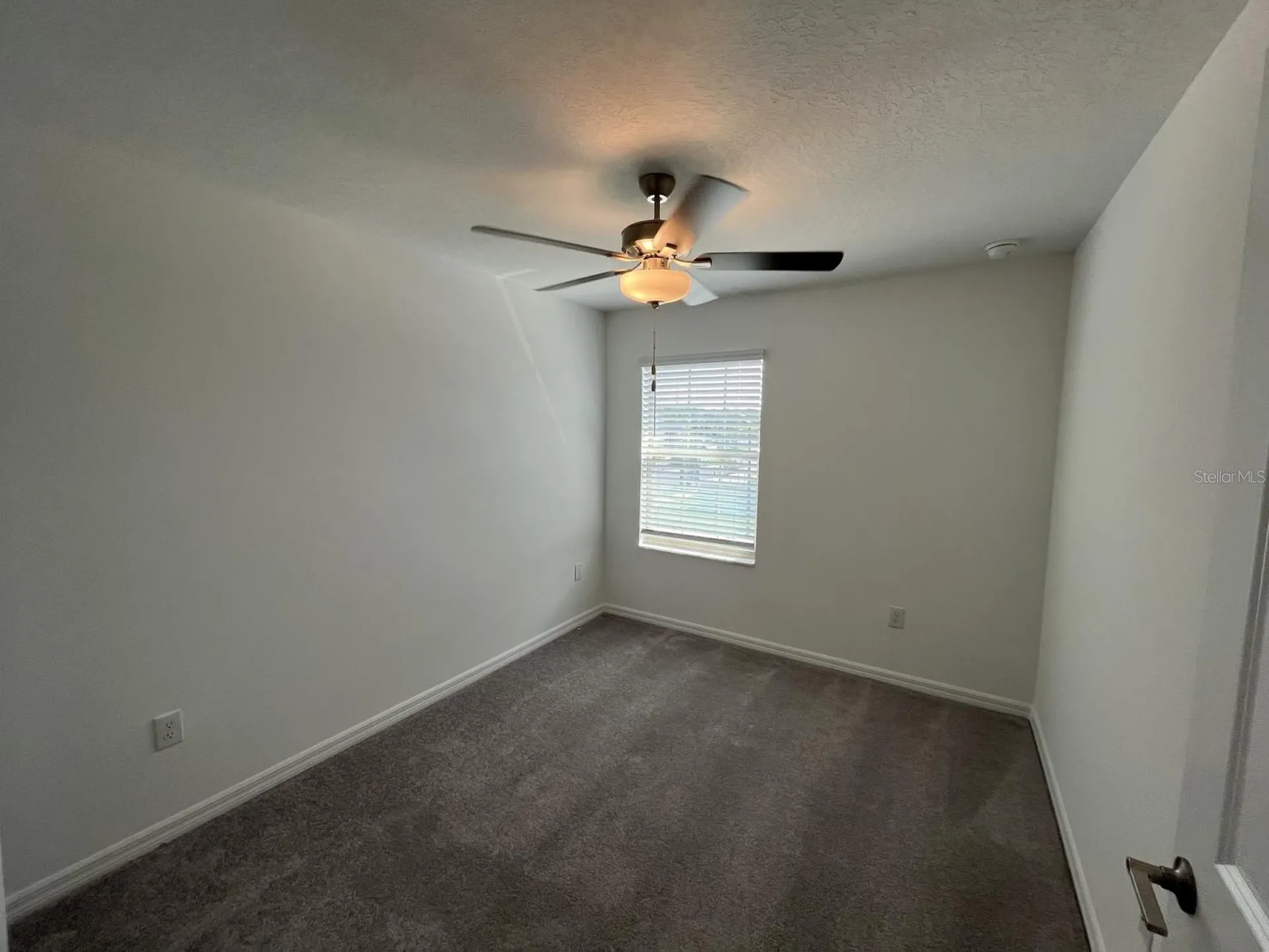 14409 Easy Goer Street Ruskin FL 33573