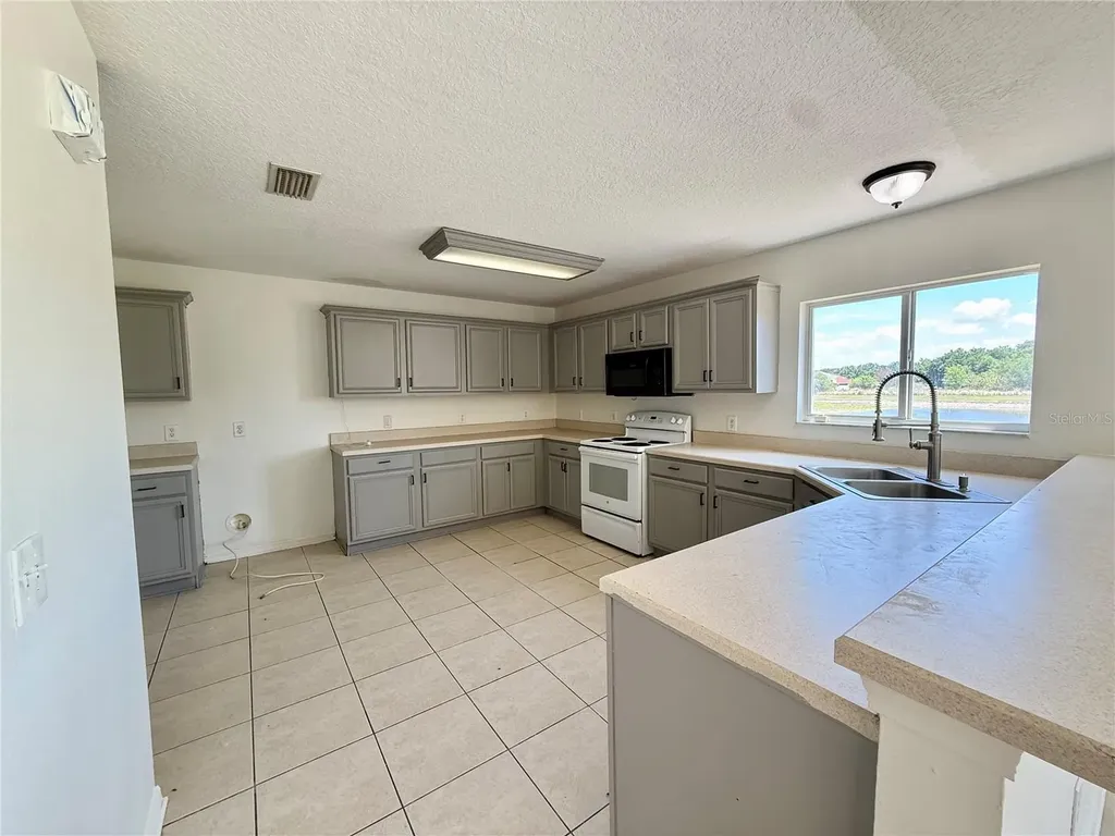 11009 Golden Silence Drive Riverview FL 33579