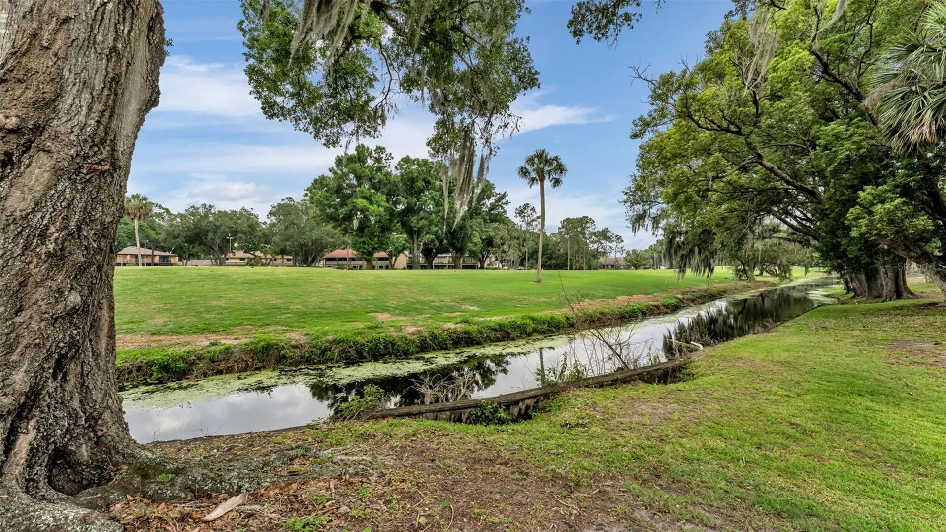 421 Lone Palm Drive Lakeland FL 33815