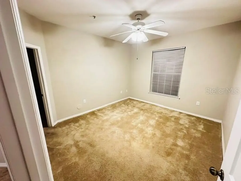 10106 Courtney Oaks Circle Tampa FL 33619