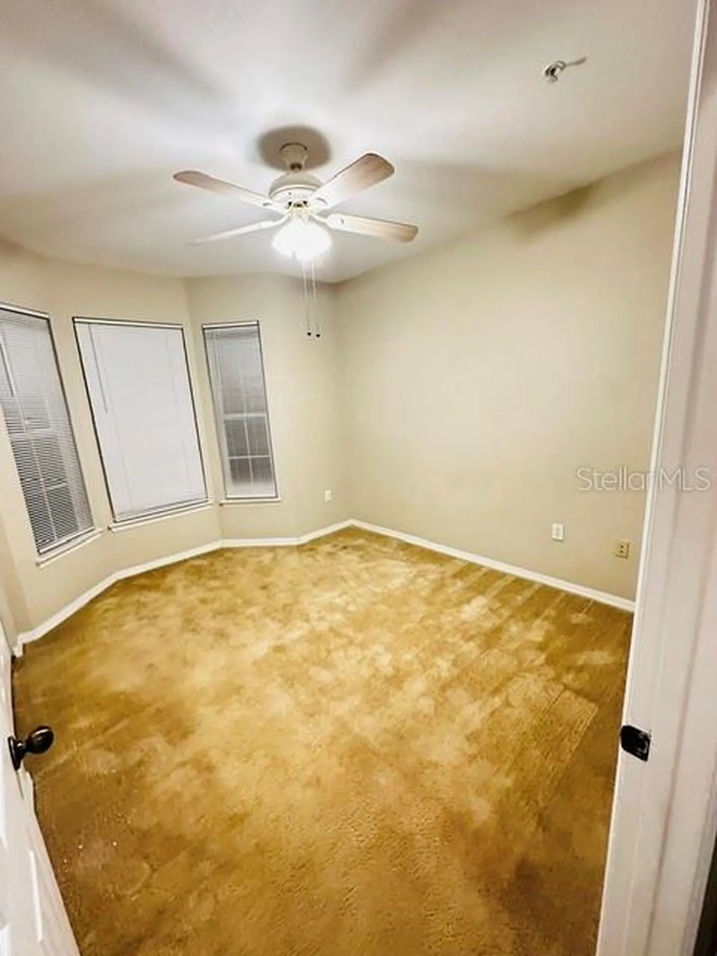 10106 Courtney Oaks Circle Tampa FL 33619