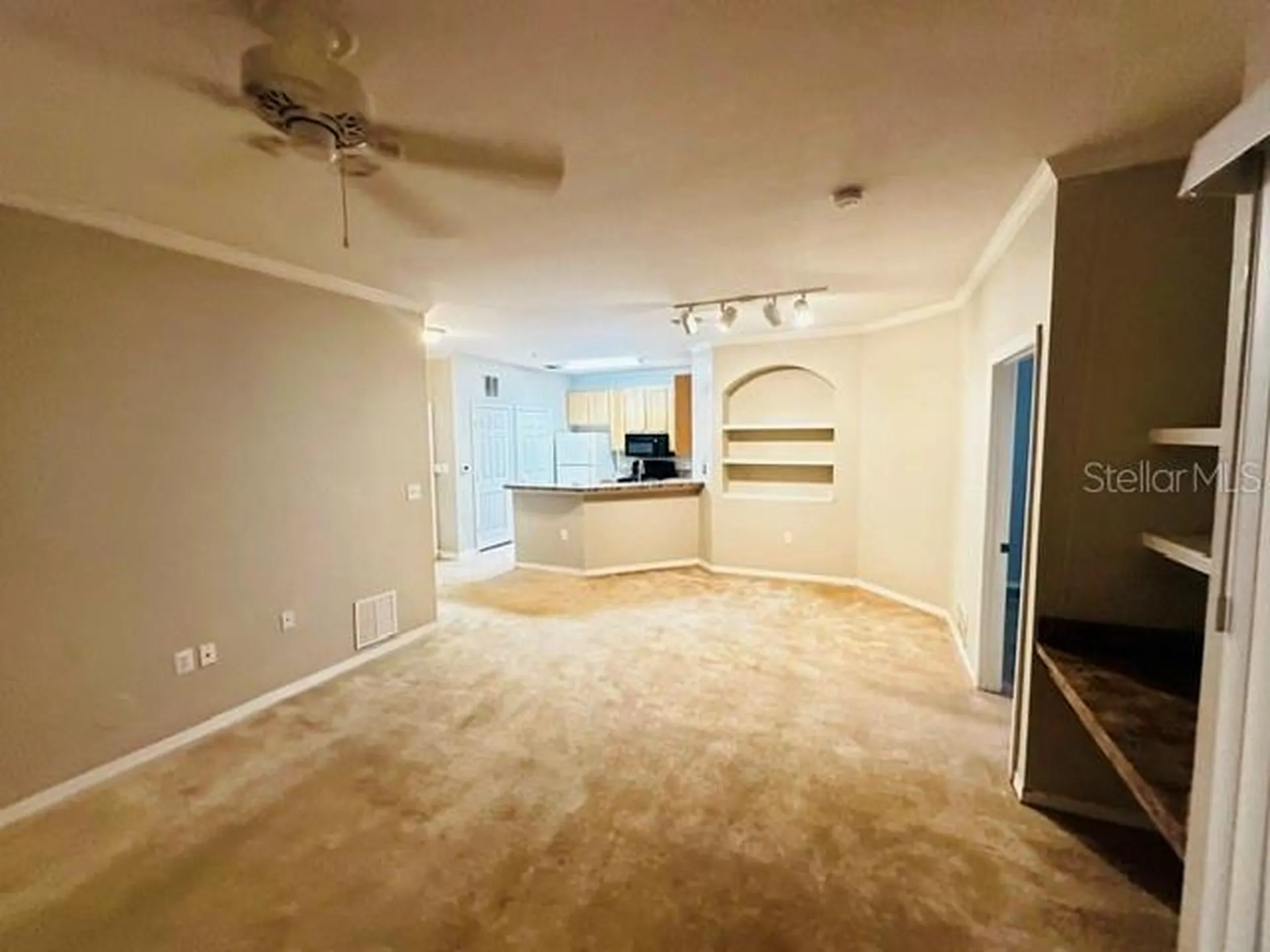 10106 Courtney Oaks Circle Tampa FL 33619