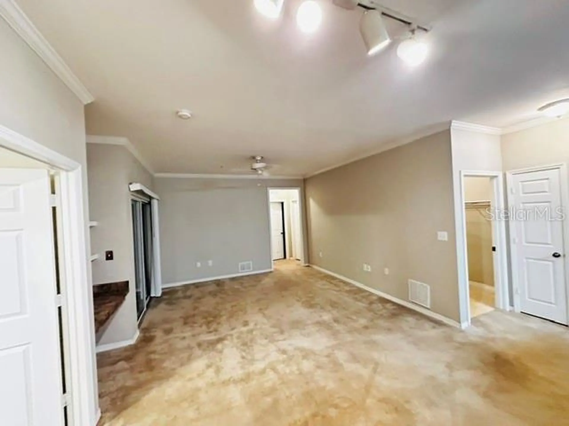 10106 Courtney Oaks Circle Tampa FL 33619