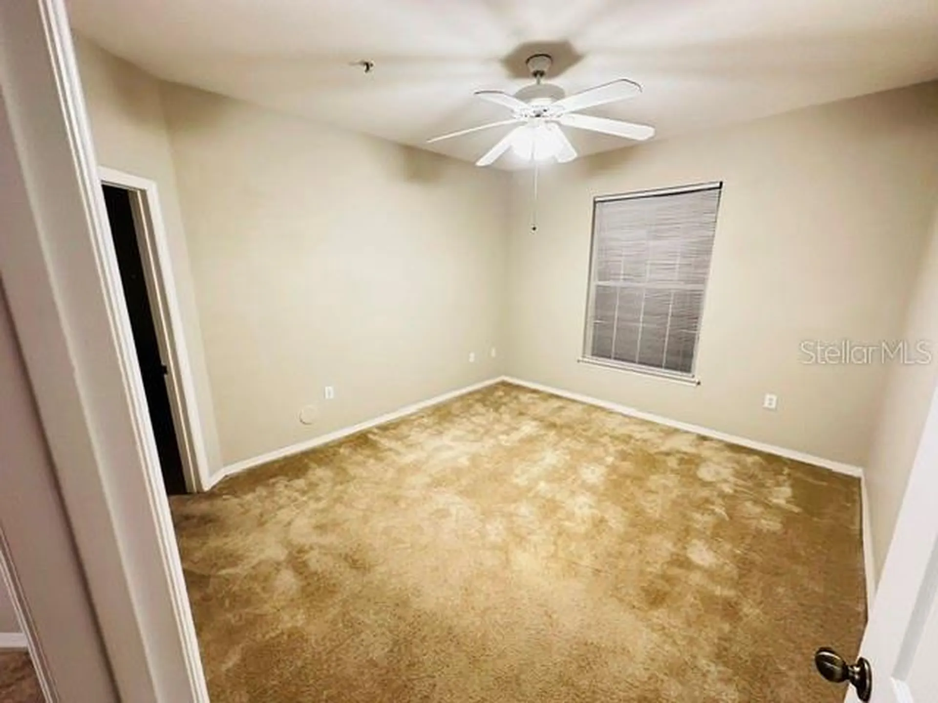 10106 Courtney Oaks Circle Tampa FL 33619