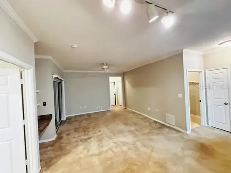 10106 Courtney Oaks Circle Tampa FL 33619