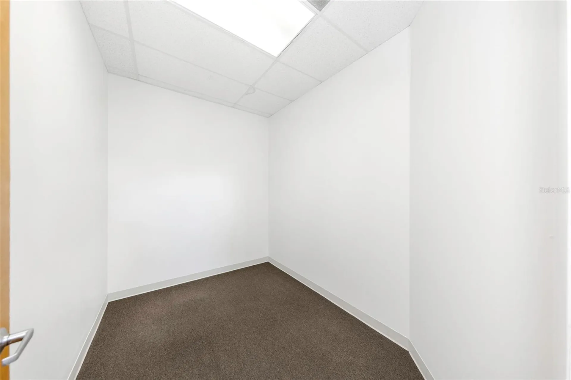 14517 Bruce B Downs Boulevard Tampa FL 33613