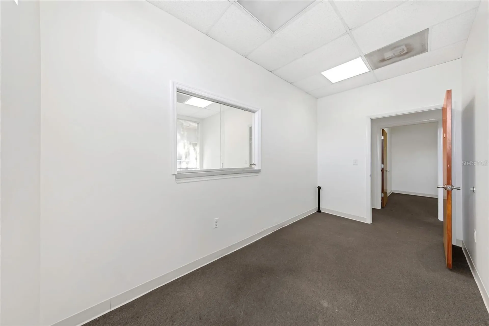 14517 Bruce B Downs Boulevard Tampa FL 33613