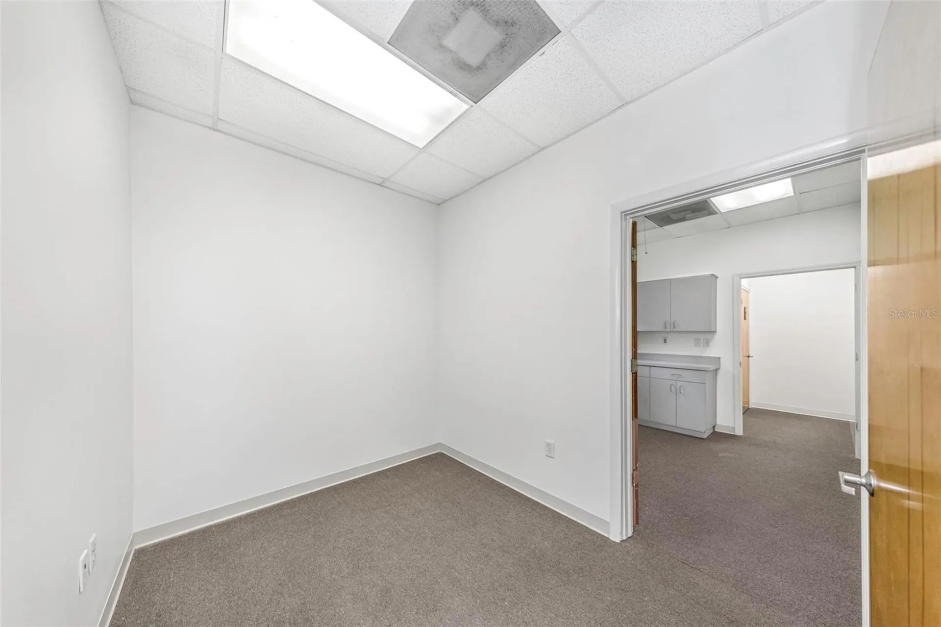 14517 Bruce B Downs Boulevard Tampa FL 33613